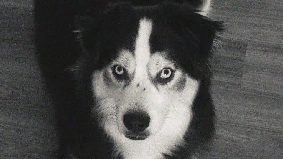 Chloe